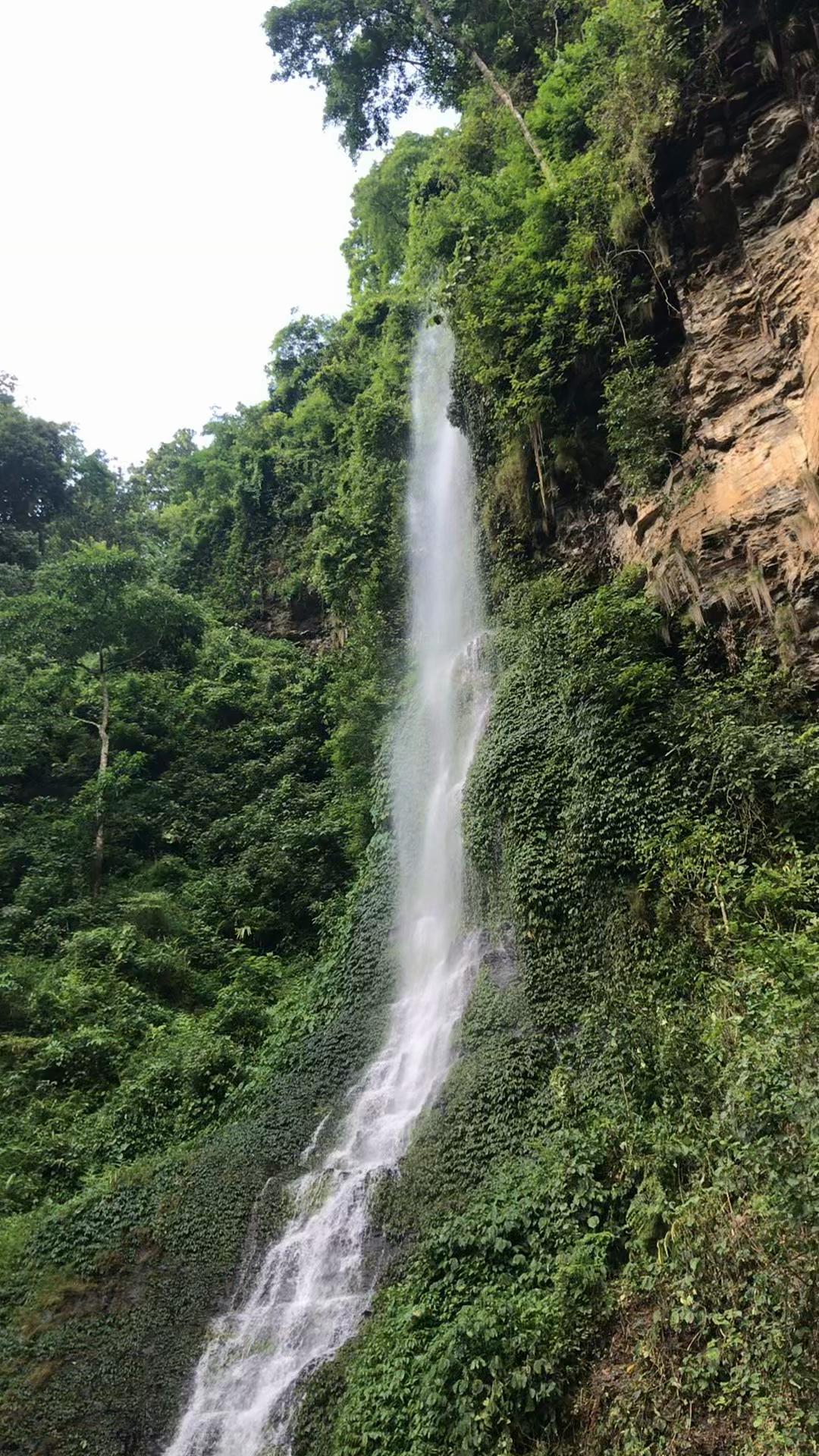 @शोभा थापा