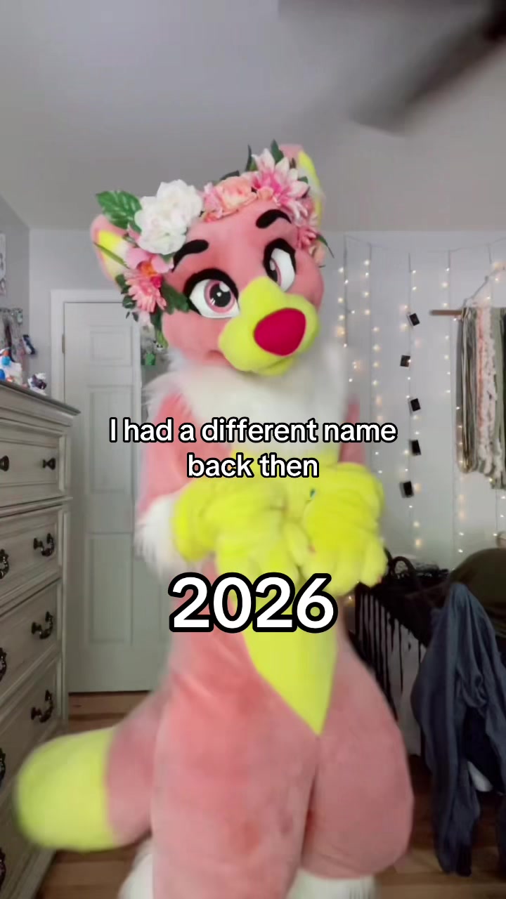 @⟡˙⋆Jazz⋆˙⟡