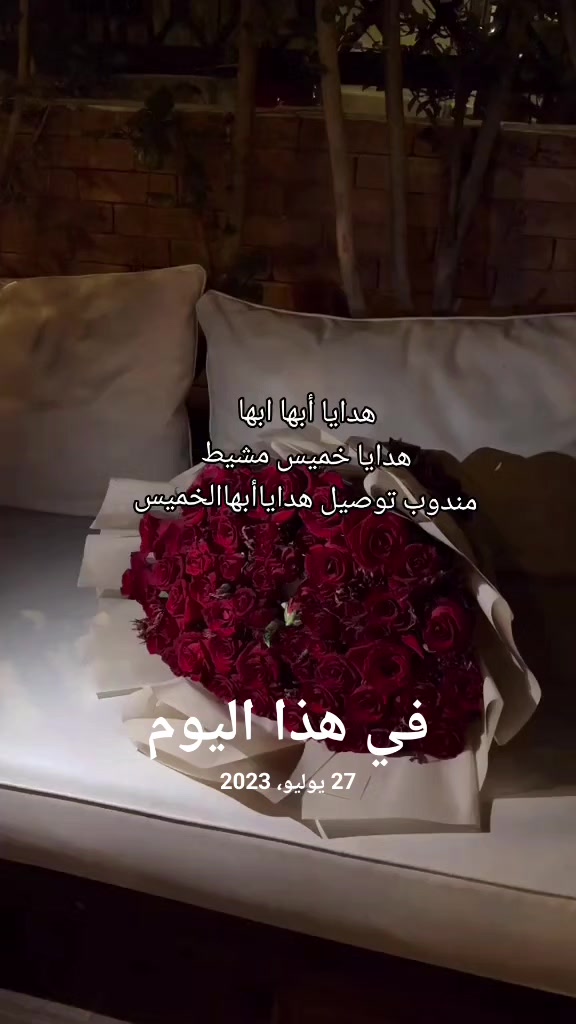 @مندوب ابها