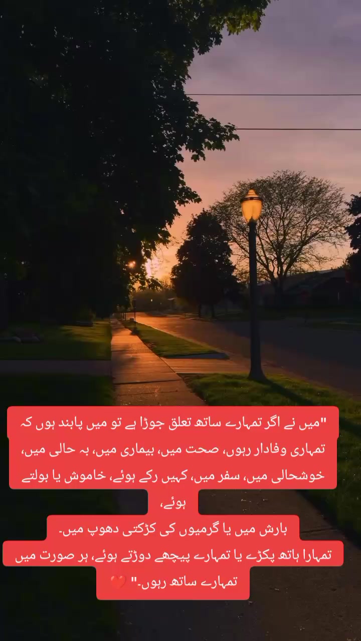 @Saim🫀