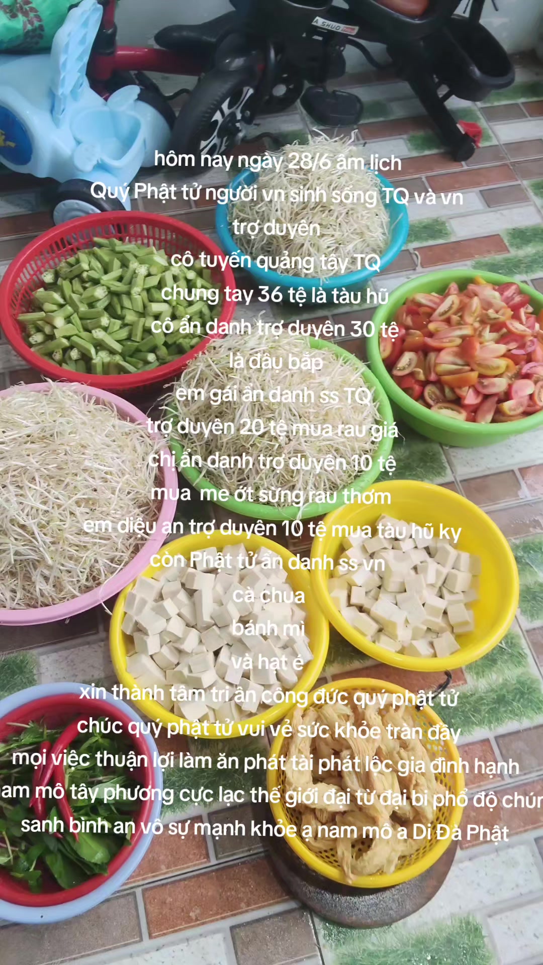 @nh&oacute;m tn diệu hạnh bỏ c&ocirc;ng sức