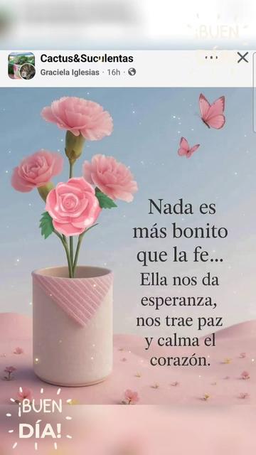 @Bori218
