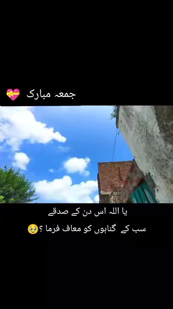 @💝شانی سندھو 🌱🌾