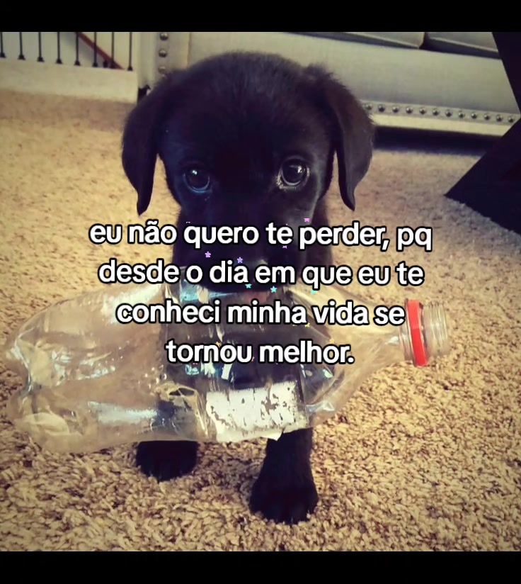 @Lari