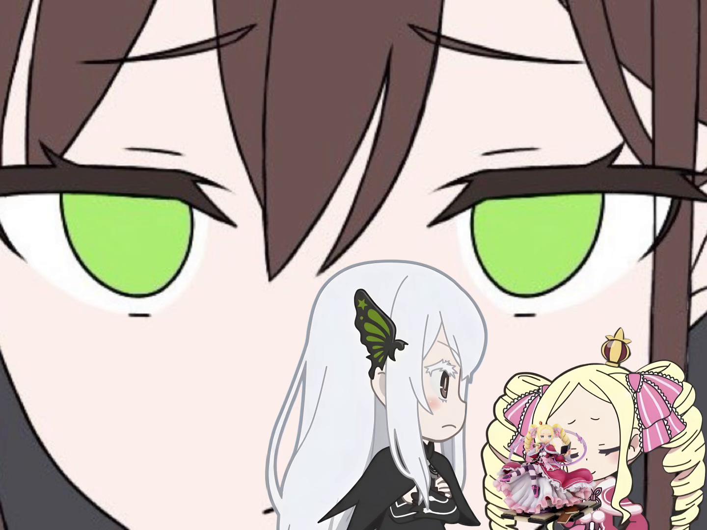 @Milkies/Echidna