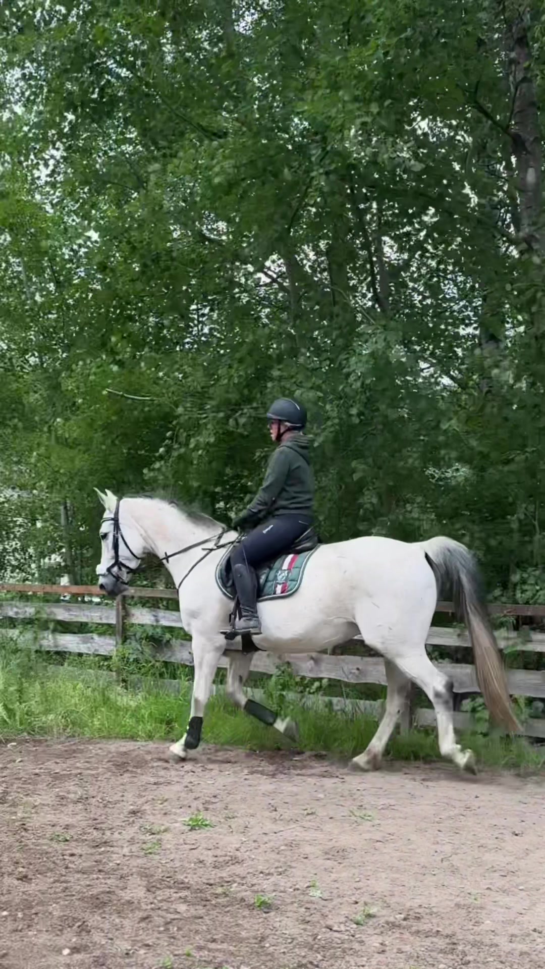 @Lieblings.scheckiii