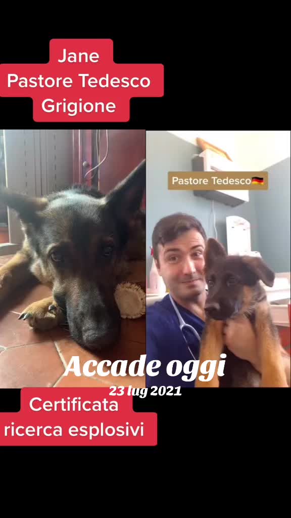 @Janedeivolsci&victorio