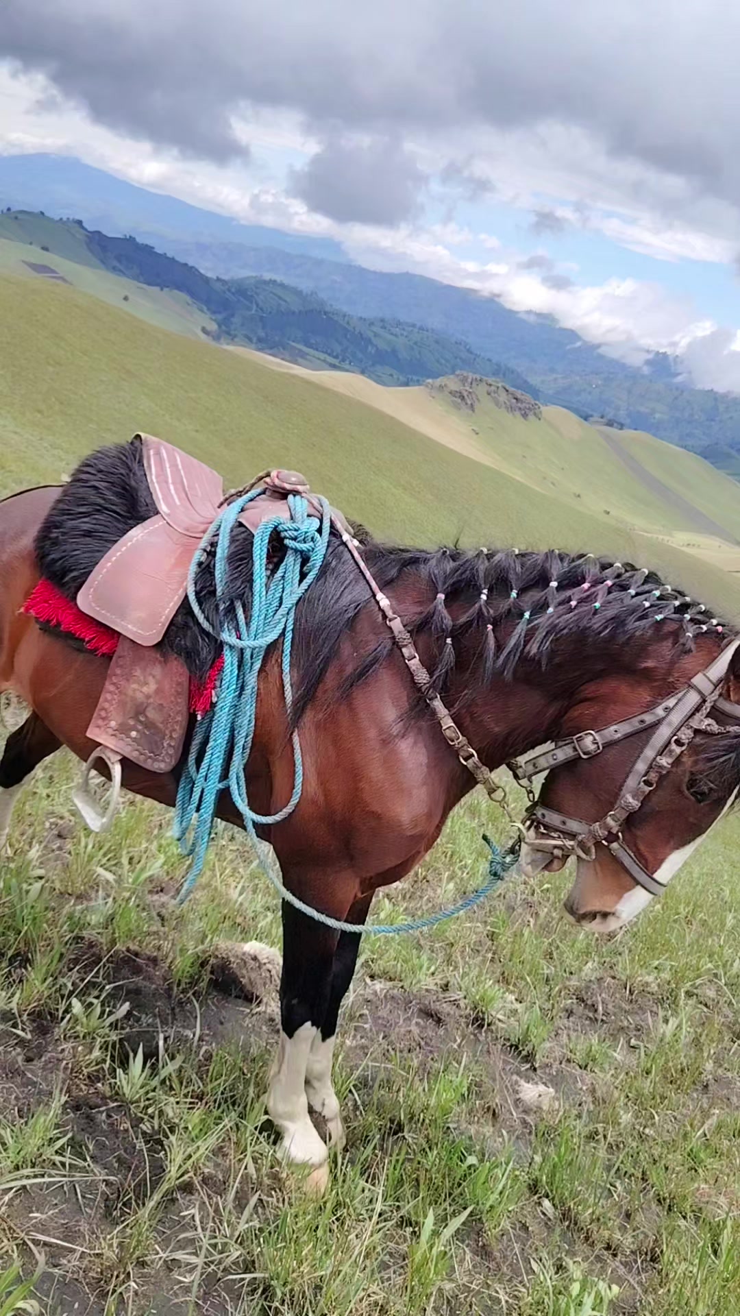 @🗻🤠Sayri .🏡,Thupag👷🚜