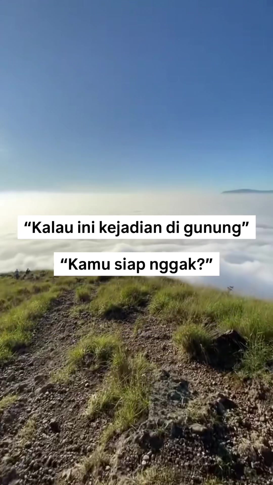 @Zaink Nst