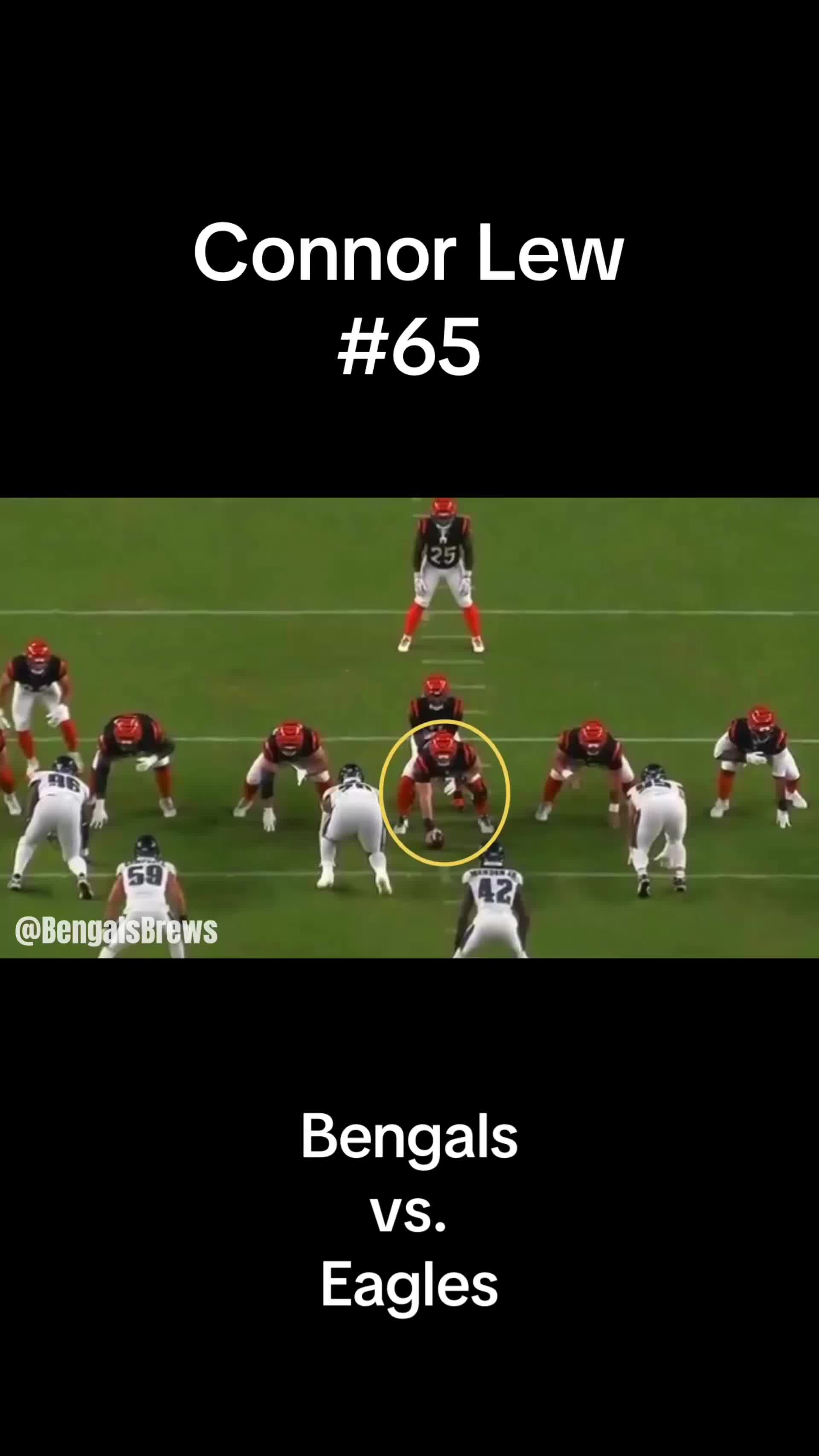 @Bengals & Brews