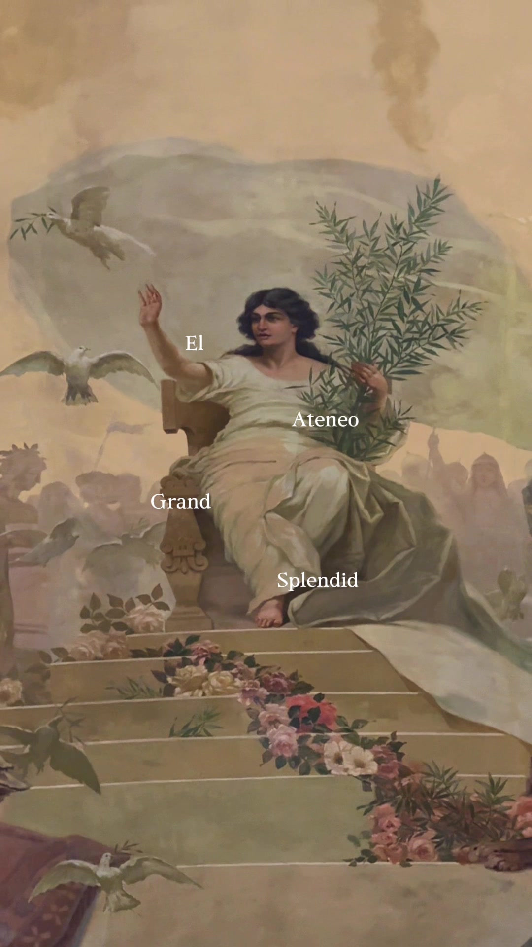 @Mar&iacute;a Fernanda Cardozo