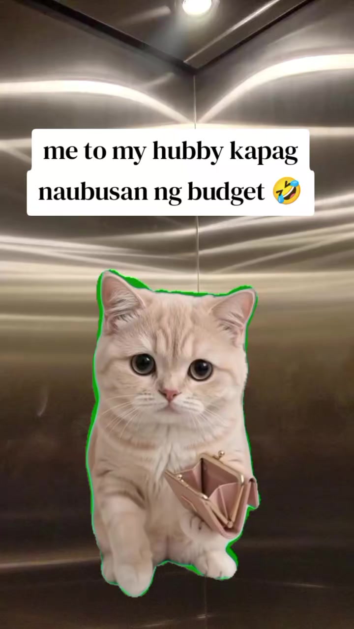 @Roselyn Sullano