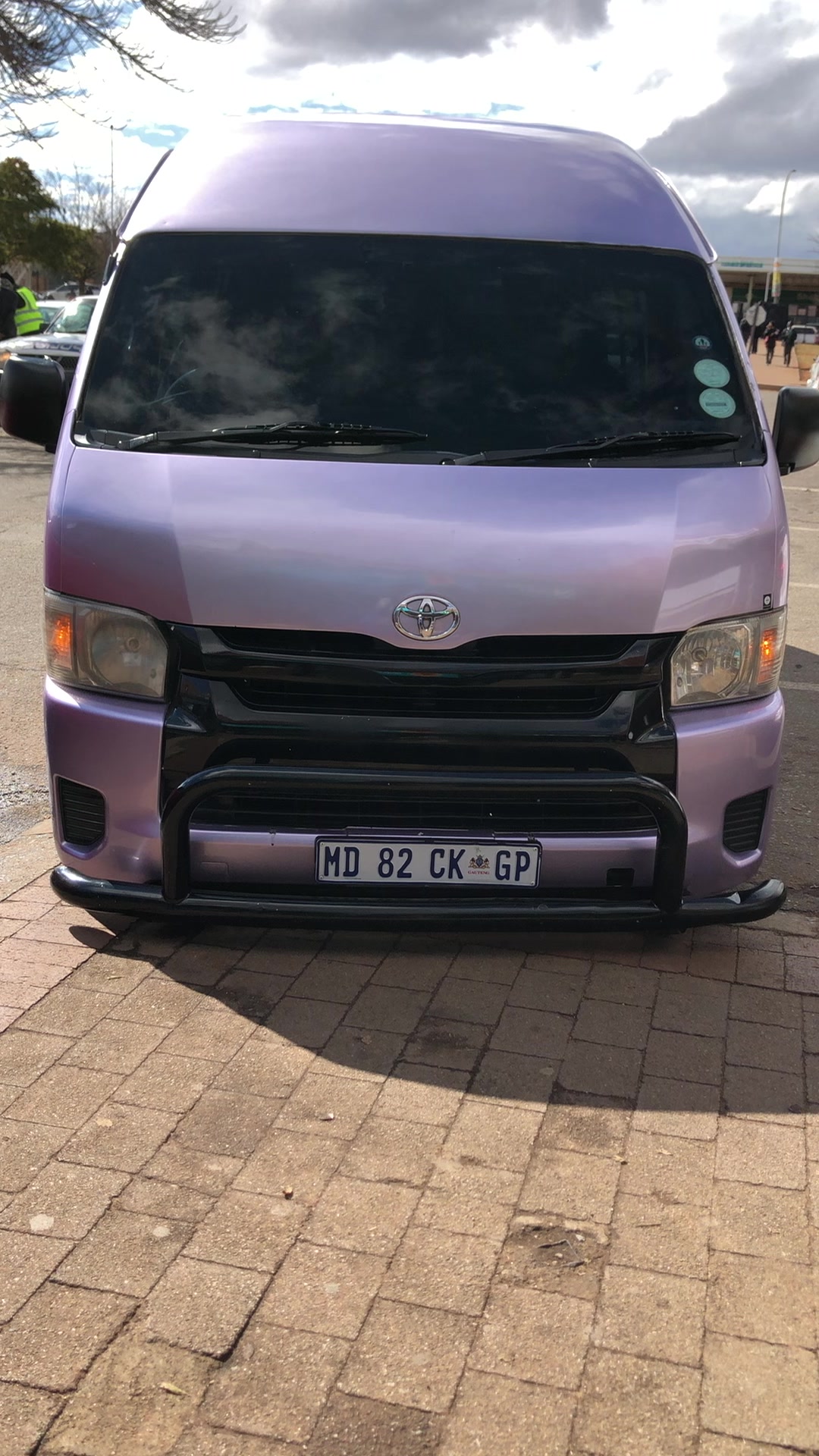 @Protea.north_shorts_