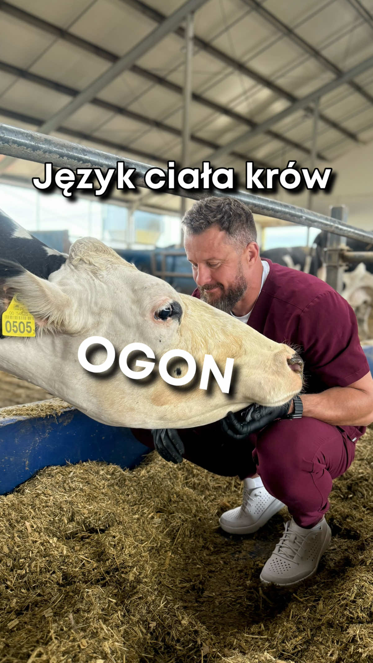 @cowdoctor_pl