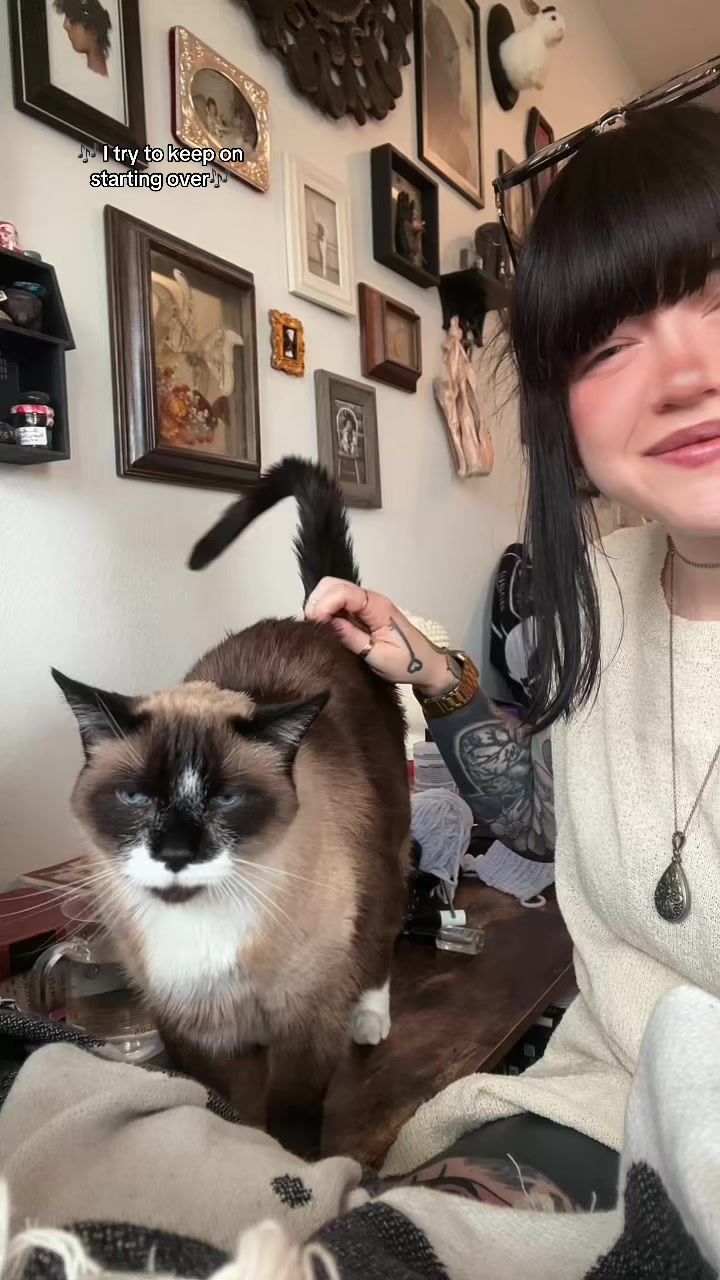 @kimeeko
