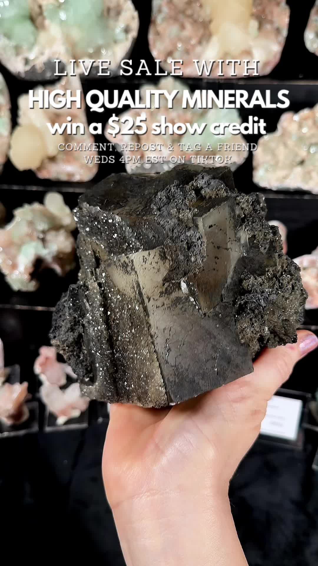 @Crystal Live Emporium✨Natalie