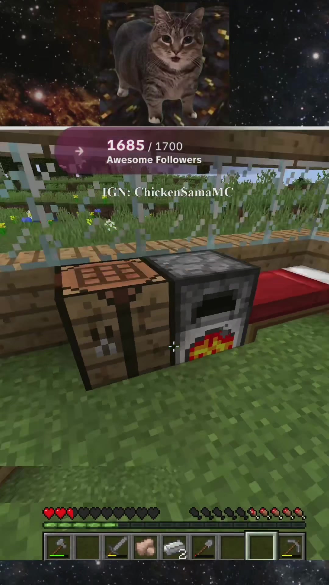 @ChickenSama