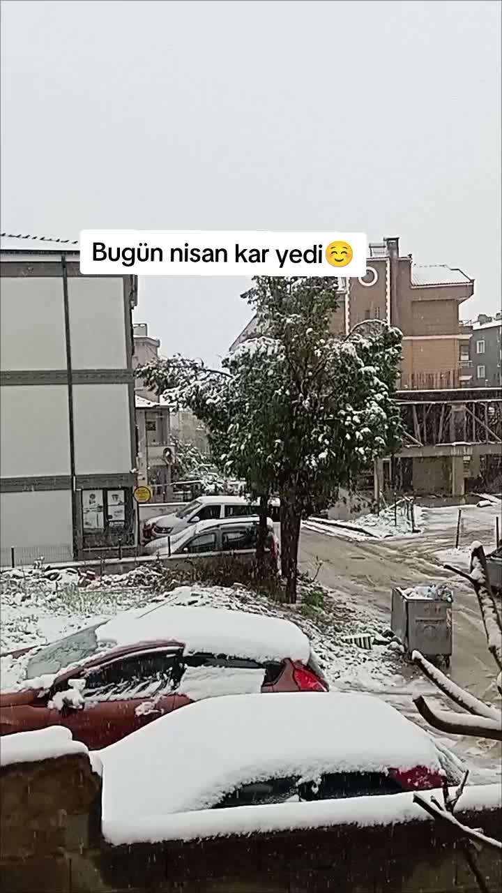 @su
