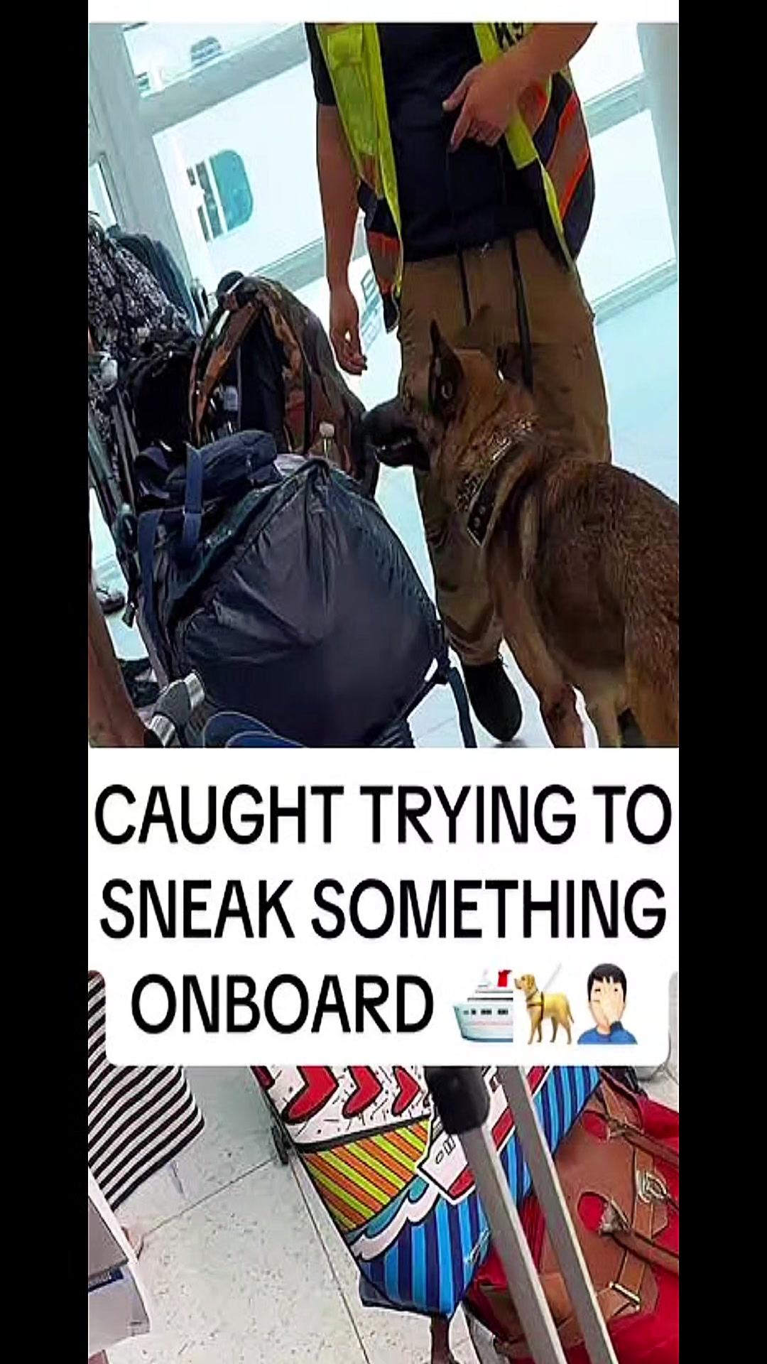 @TravelsFromTheMitten ❌💲🚢