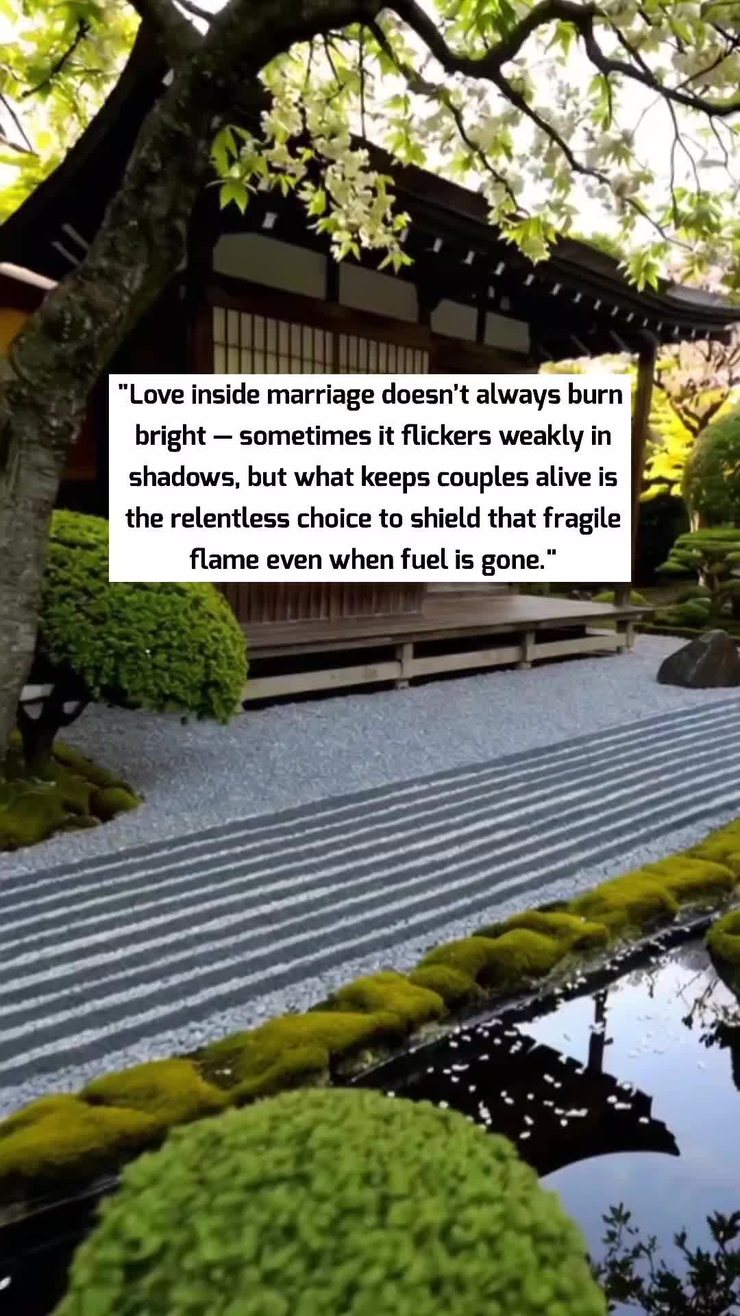 @TheMonkQuote