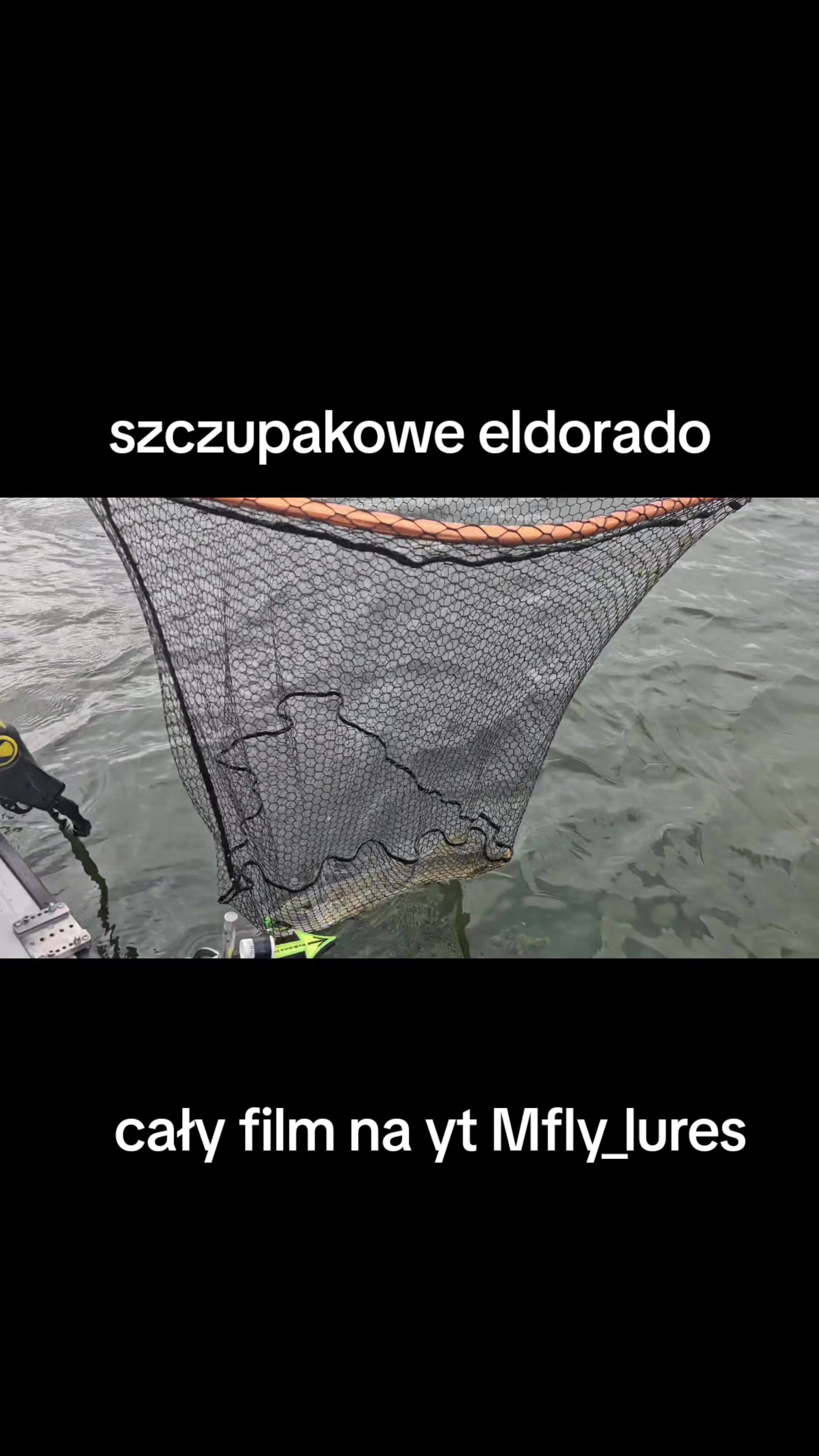 @mfly_lures