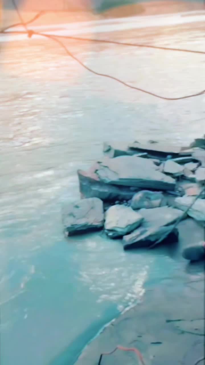 @Gillsahib88