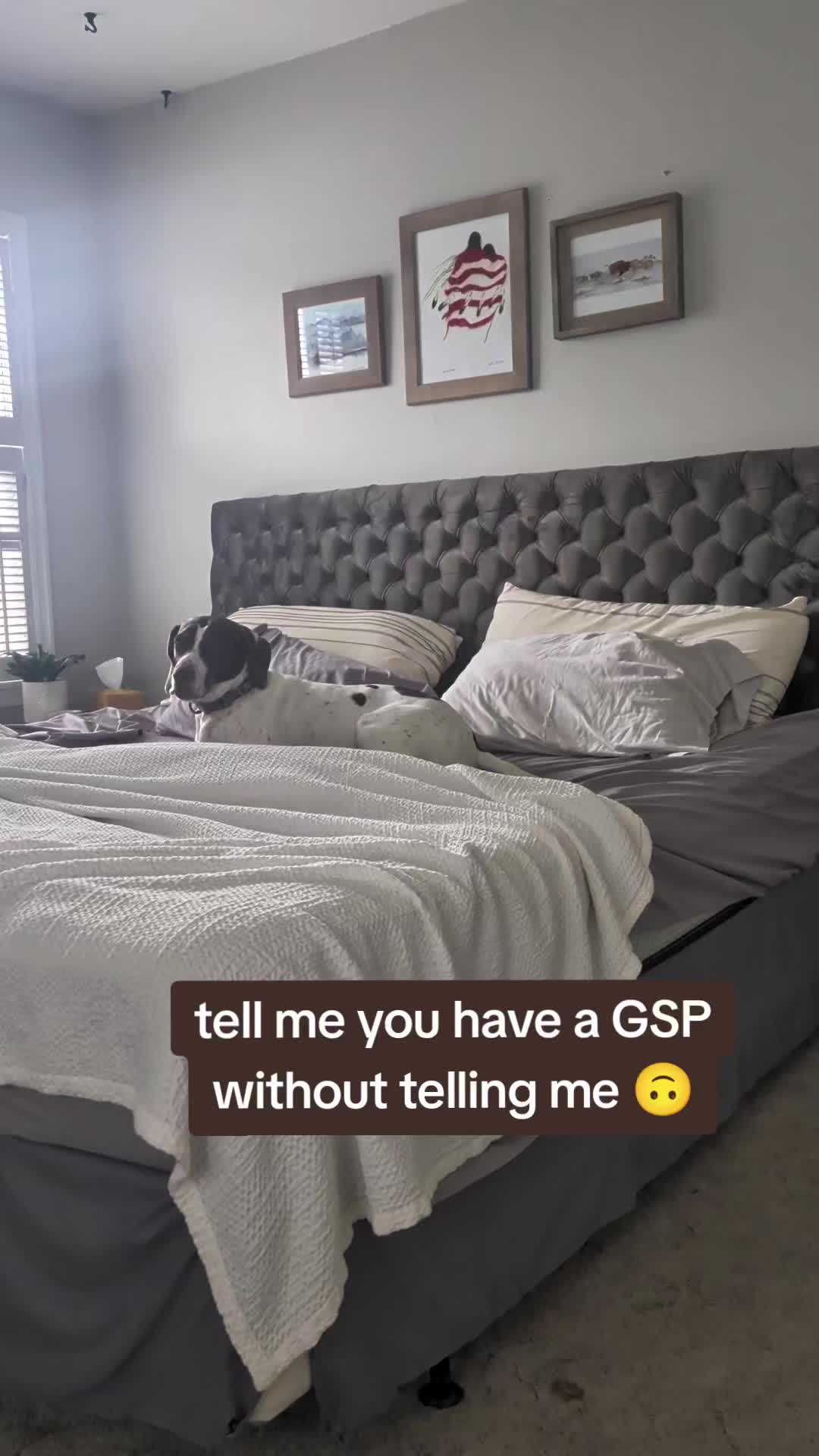 @Christina Flax