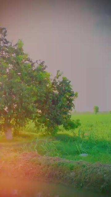 @๐๐ธโ๐ป๐ธโ ๐๐ธ๐น๐๐โ ๐๐โ๐