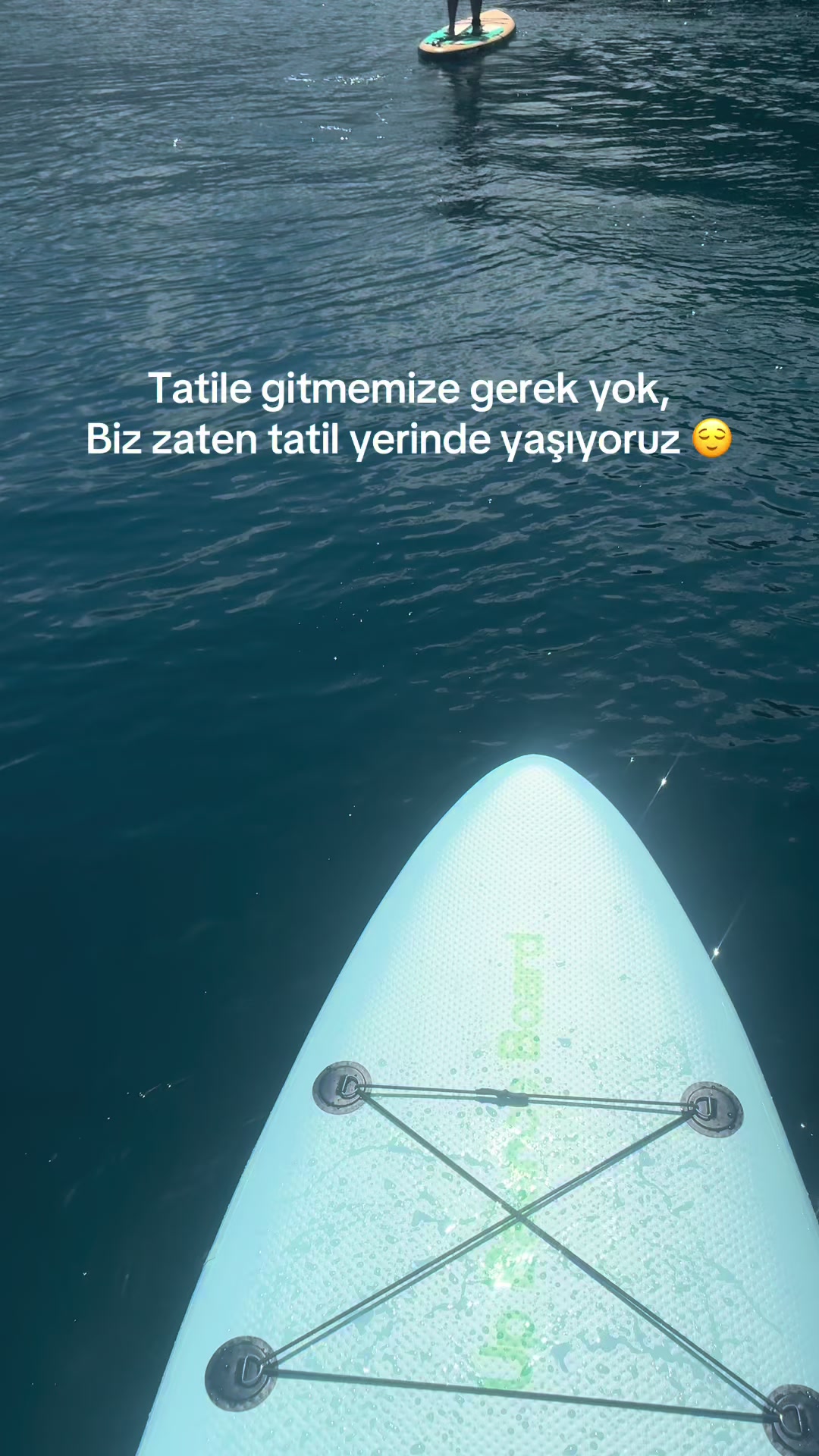 @Sudenaz Nurcan