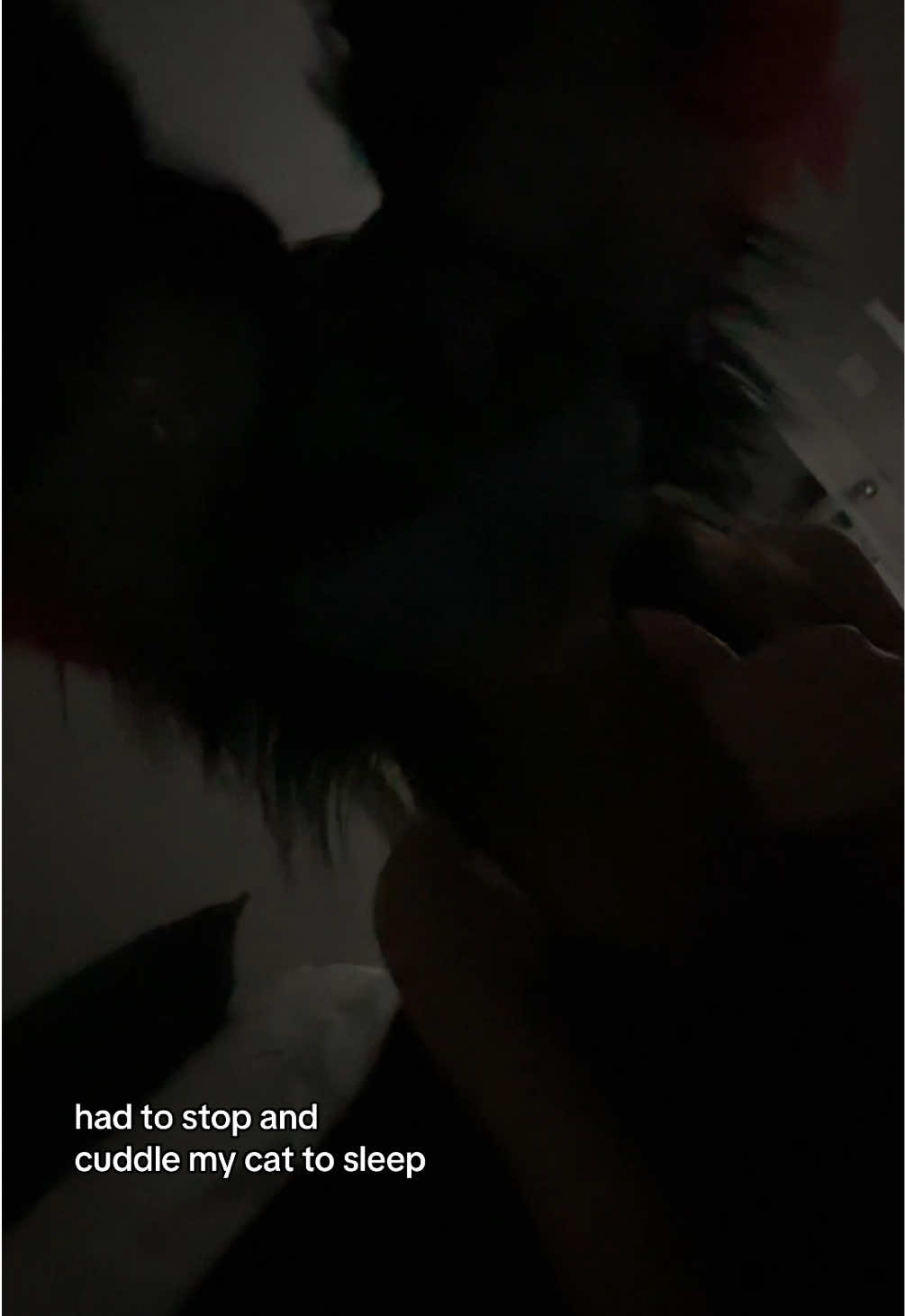 @kuraiism