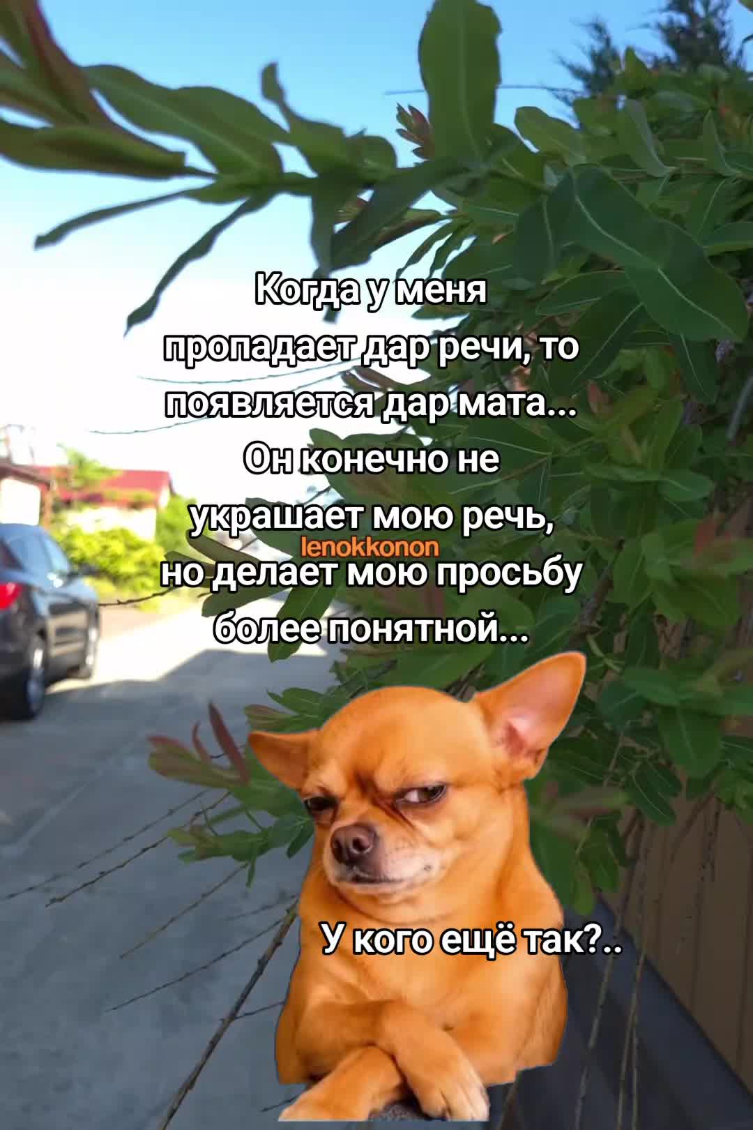@Lenok