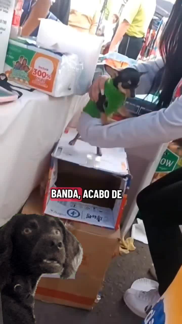 @viral