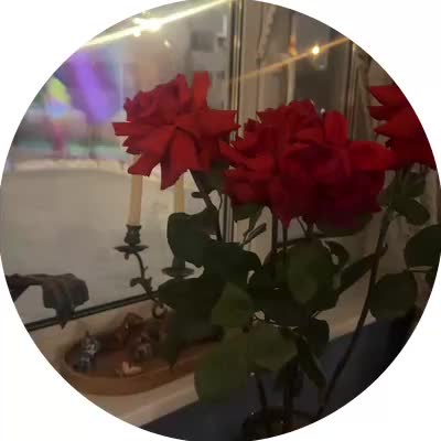@seijin442