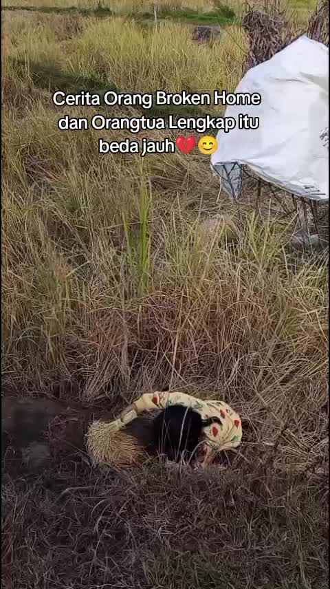 @Tik∆ Rembon 🐼