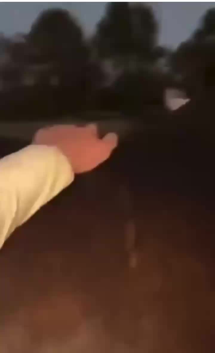 @lmaodose