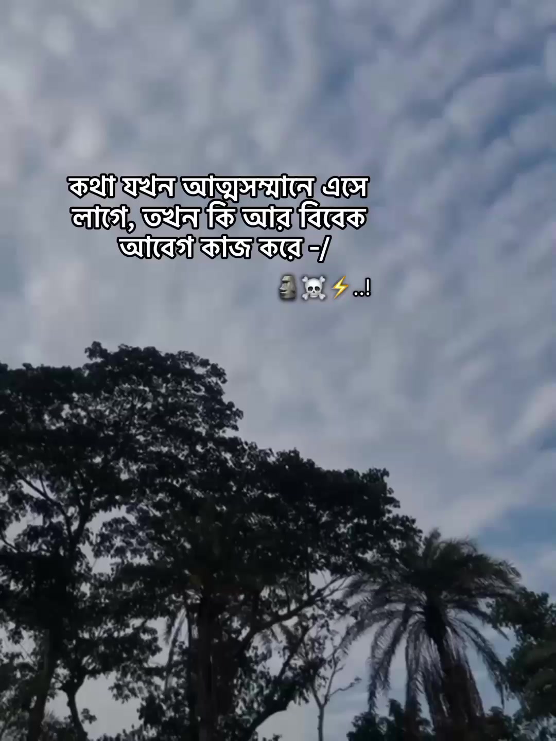 @⁷𝐇𝐚𝐦𝐢𝐝𝐚◡🧃