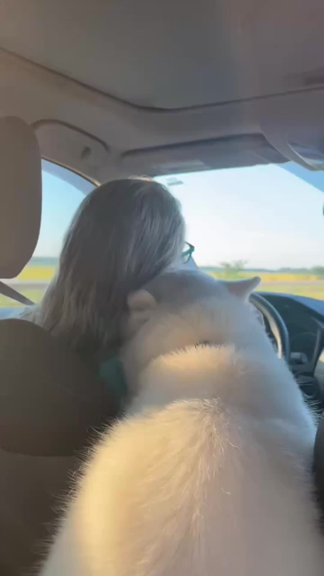 @lynnipoo