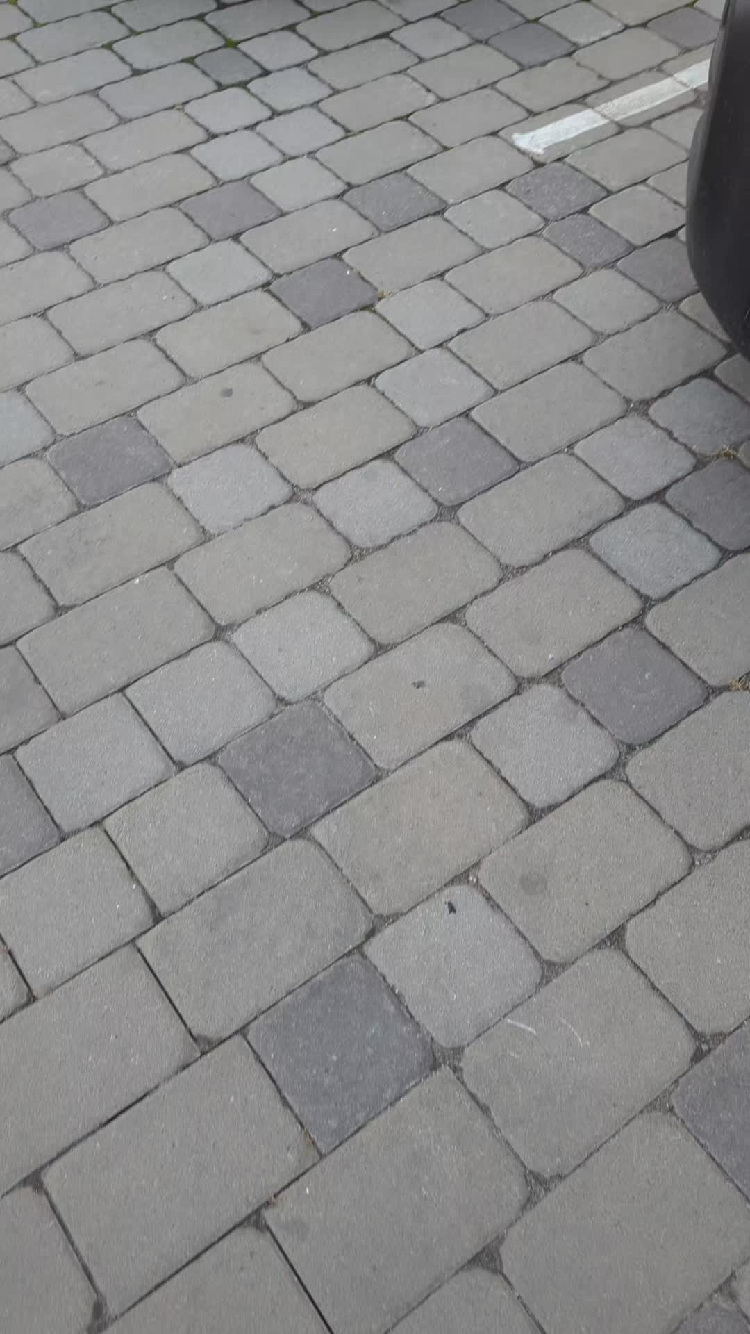 @Rosstusl@v