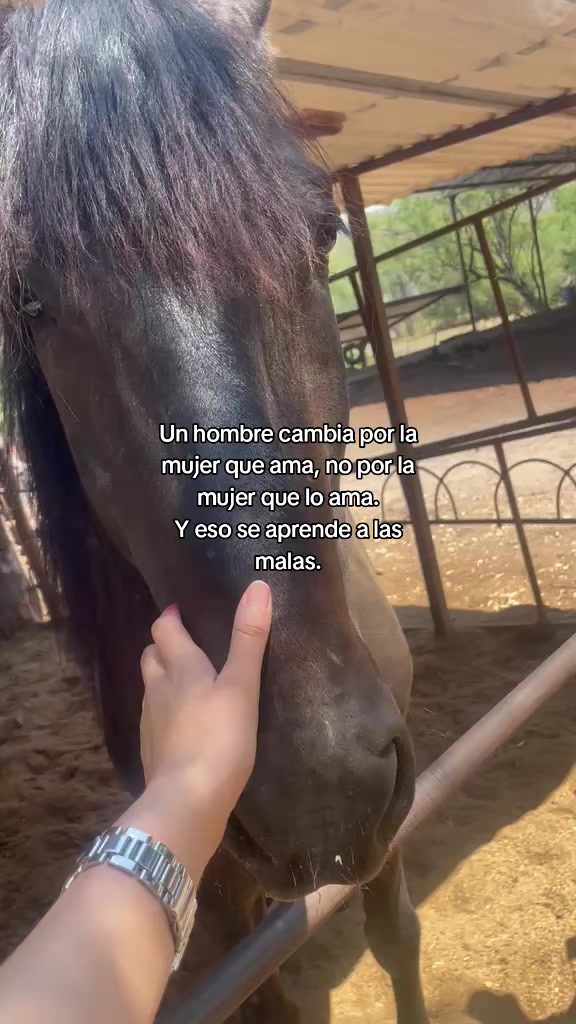 @Luz Llamas