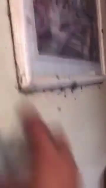 @SCARYVIDEOS