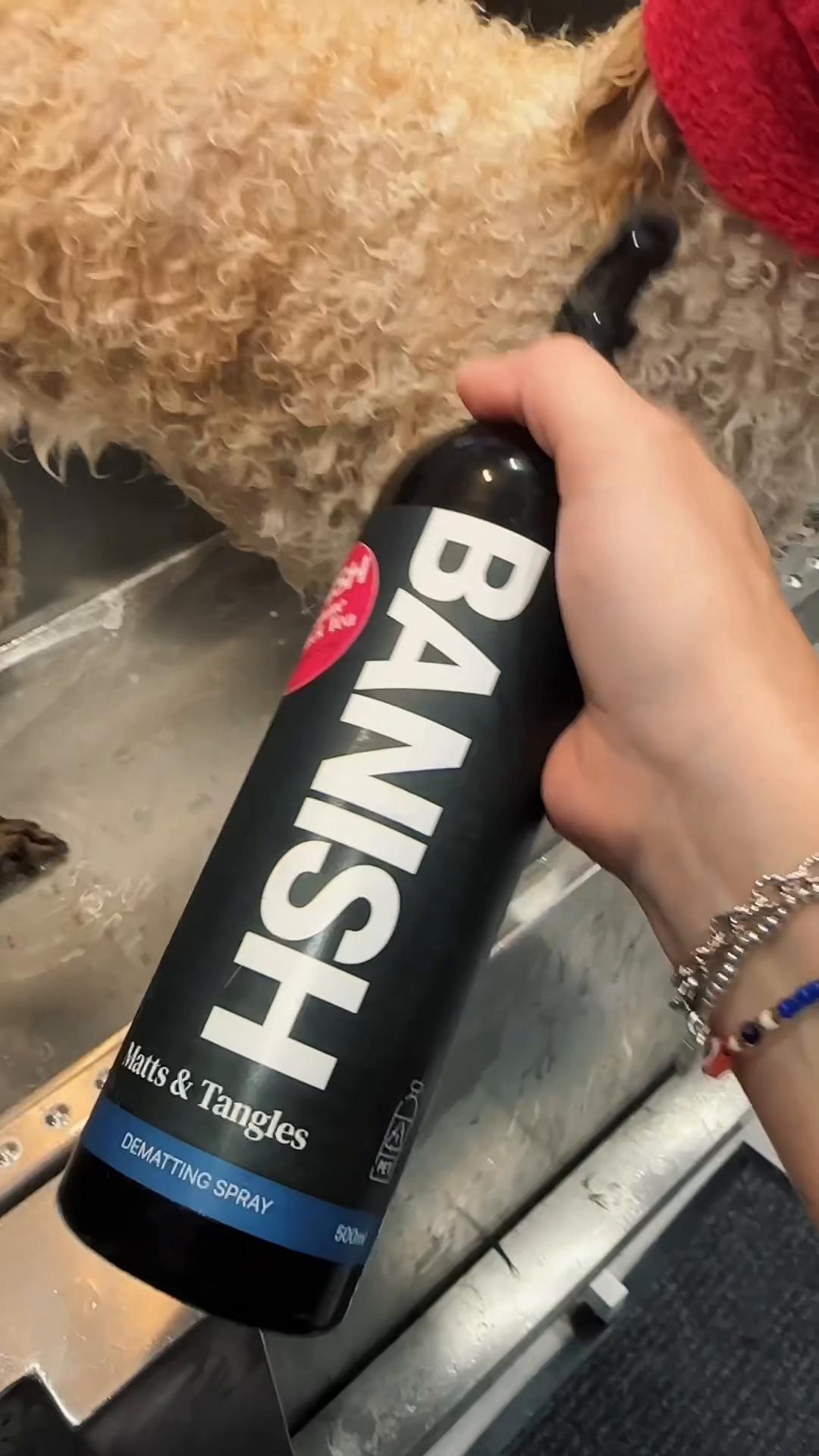 @DevenickDogs