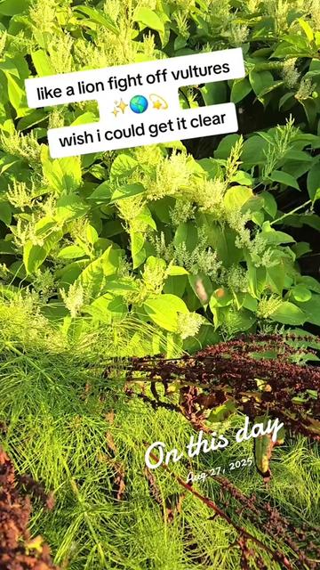 @What Nikki would do!🥰