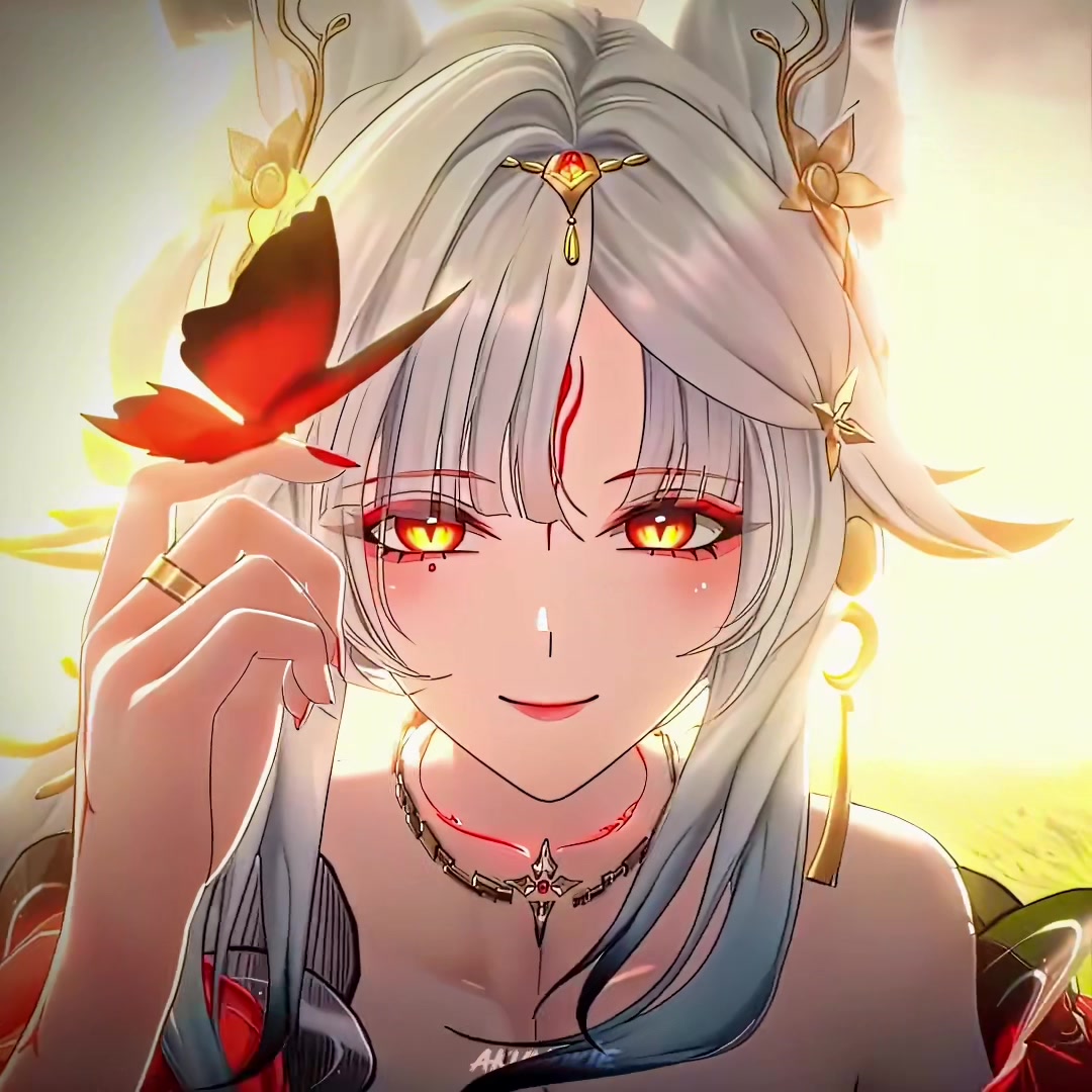 @aku