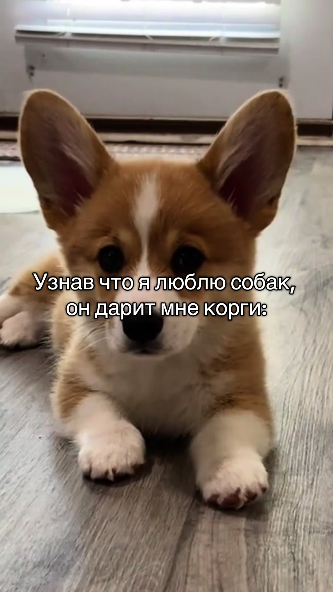 @𝓽𝓪𝓼𝓸𝓻𝓲🪽