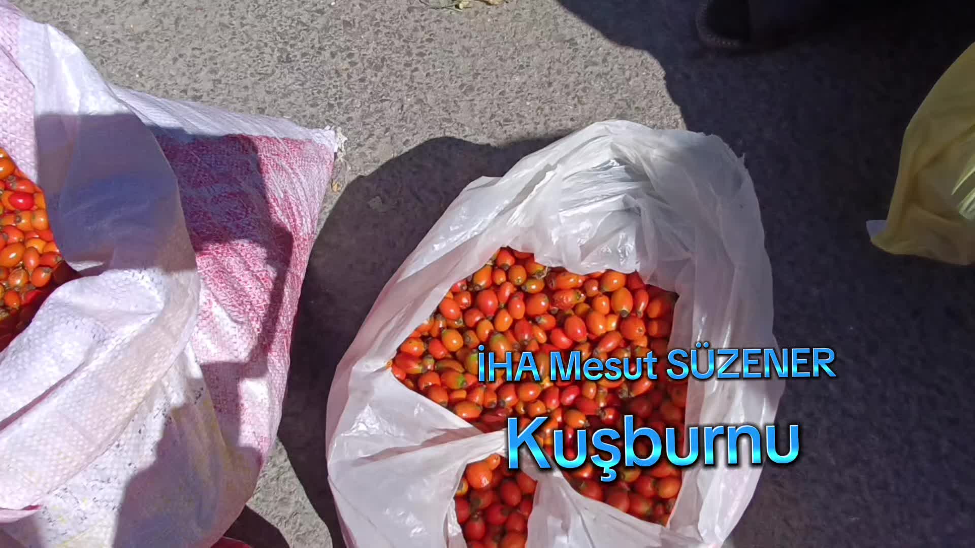 @mesut s&uuml;zener