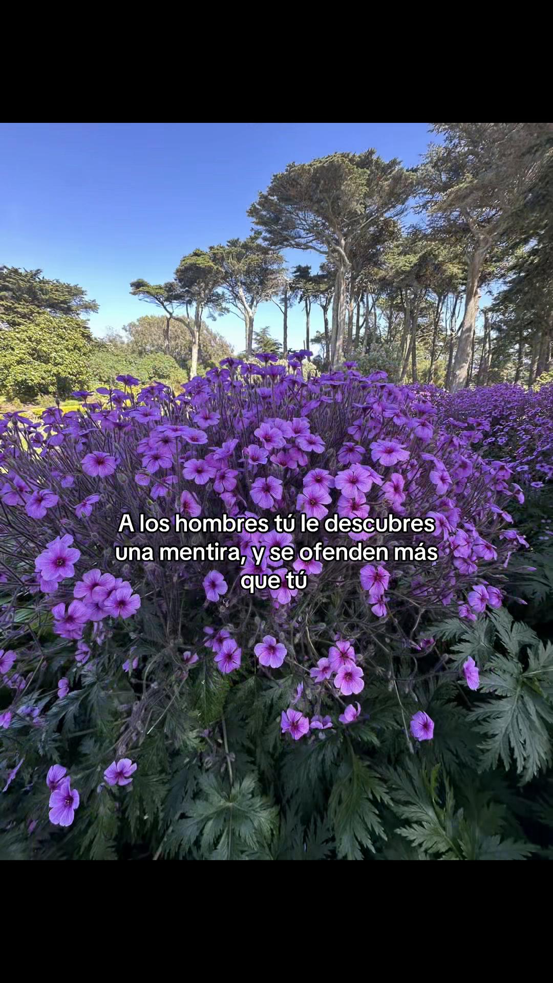 @user123386698