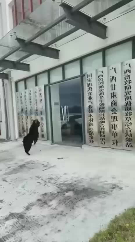 @Funny