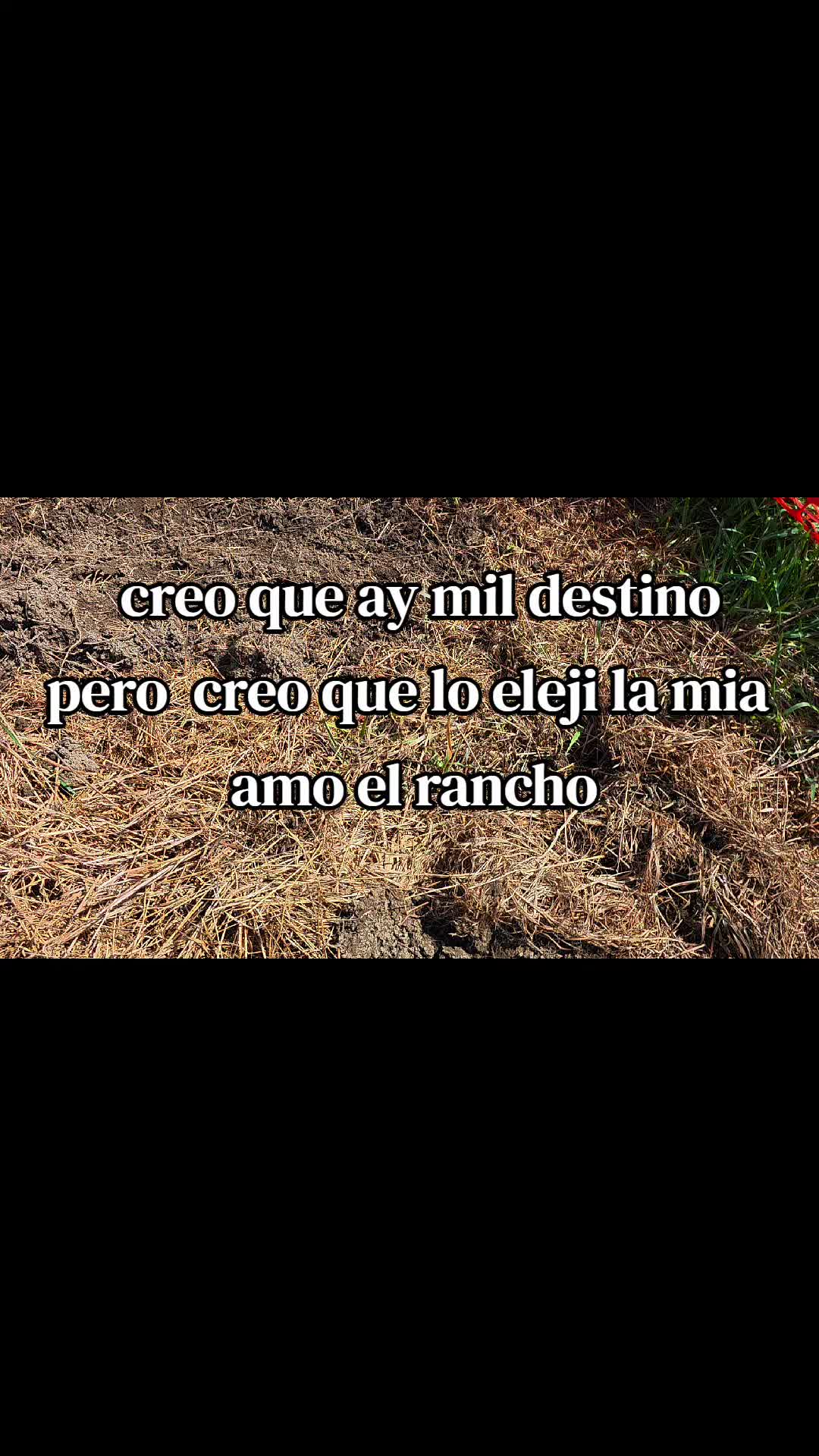 @🩵Luii502🩵🐬👨&zwj;🌾