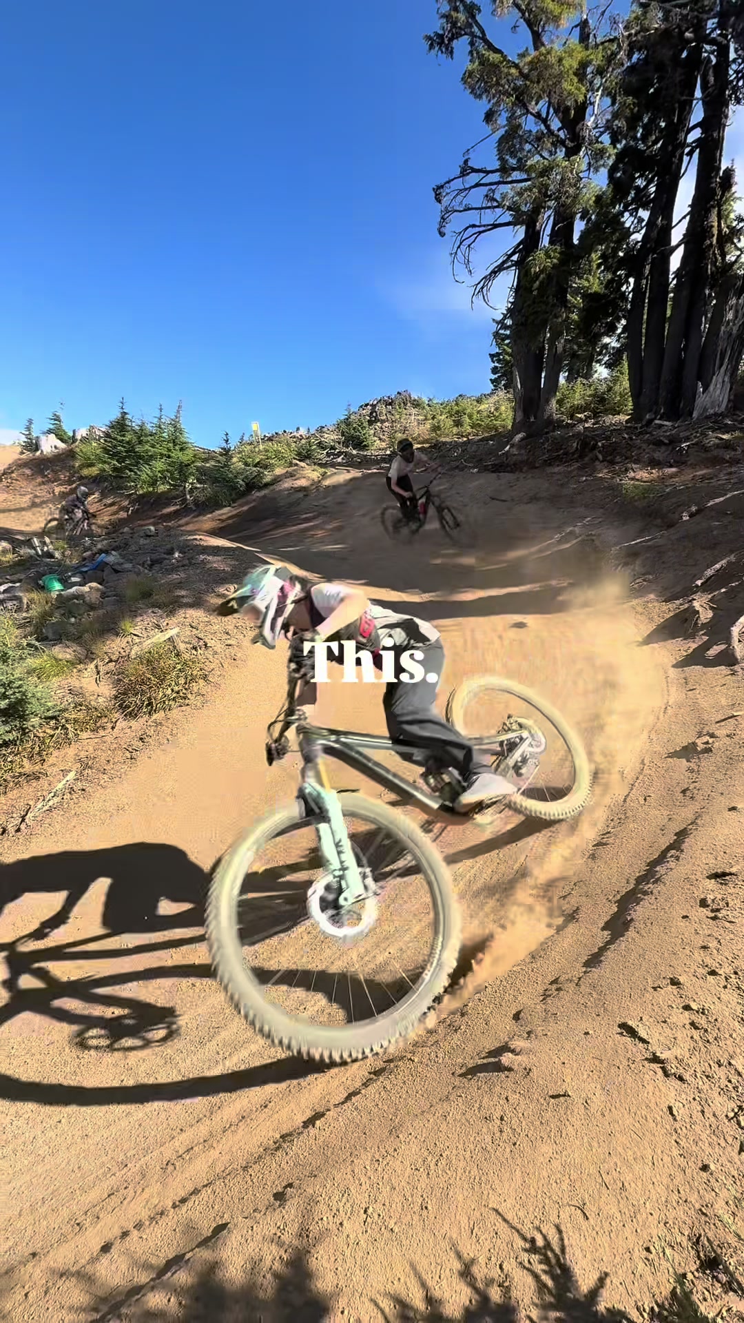 @mt.bachelor