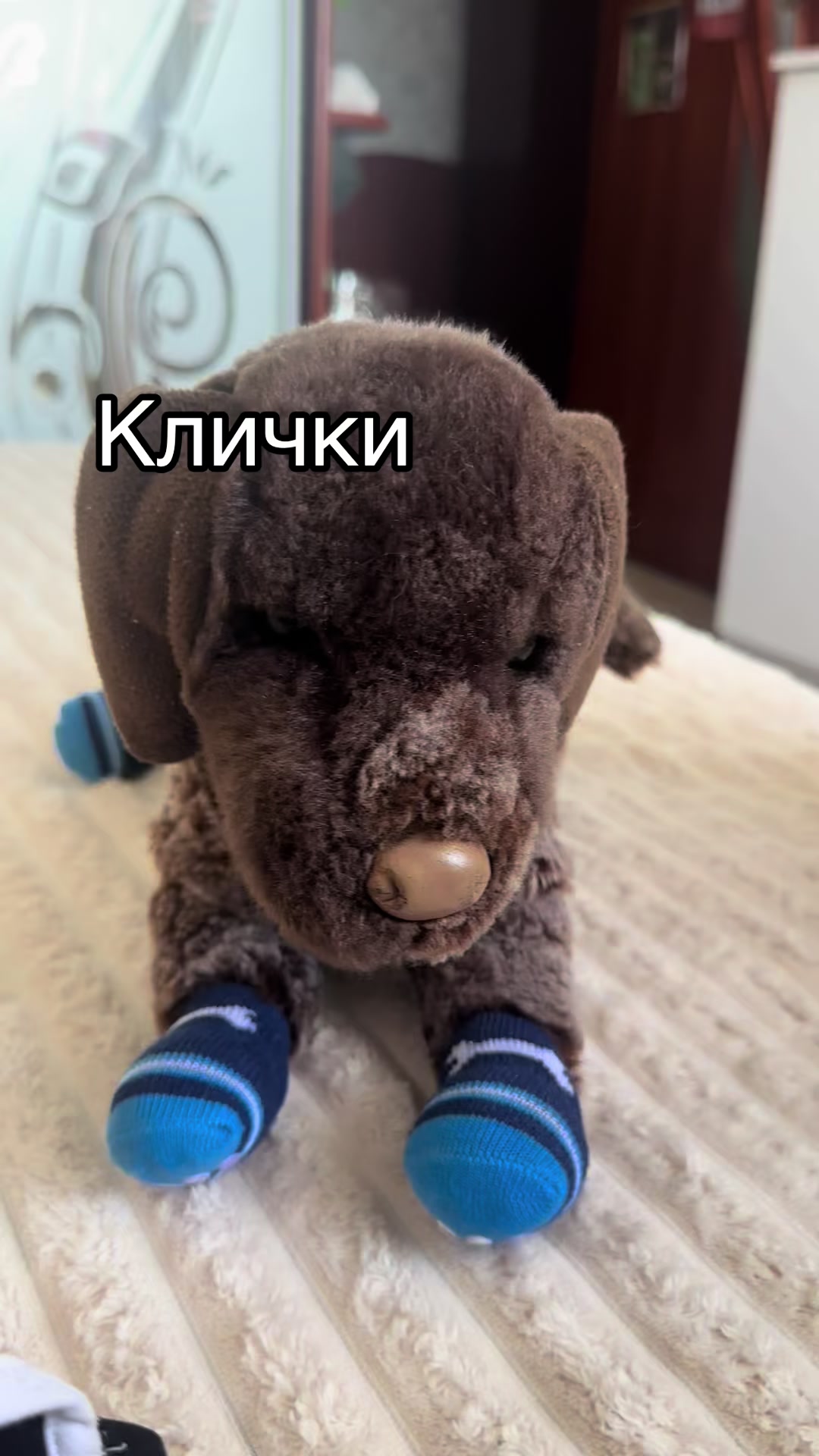 @˚₊‧꒰ა⸰𝙼𝚎𝚕𝚞𝚛𝚒˚໒꒱ ‧₊˚ ┆ᴘᴅʙ